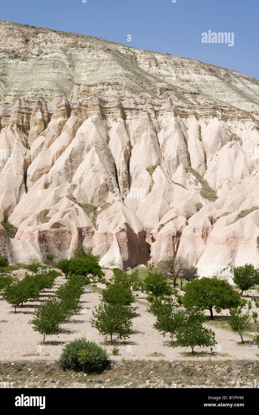 Orchards and rock formations in the Zelve region of Cappadocia, Central Anatolia Turkey Stock Photo