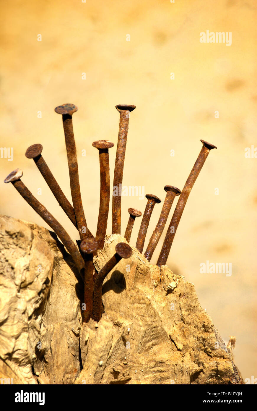 nails on wood Stock Photo Alamy
