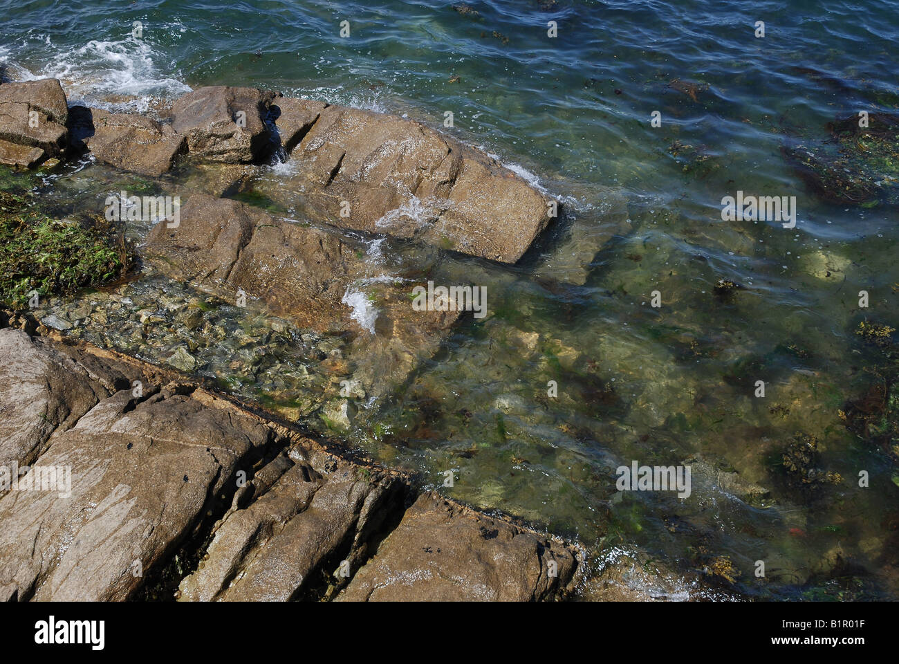 coast near Roscoff in Brittany Stock Photo Alamy