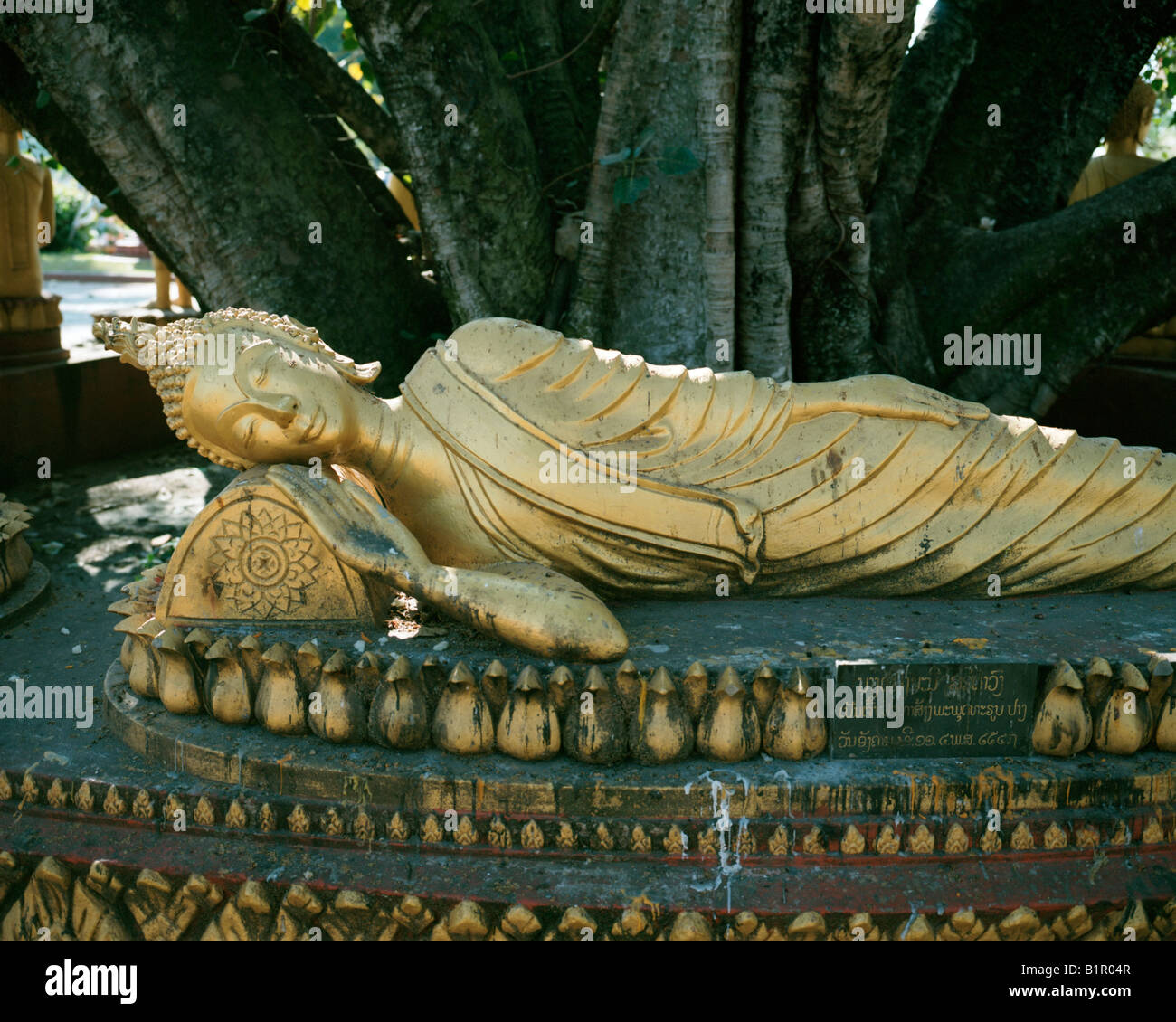 Buddha under tree hi-res stock photography and images - Alamy