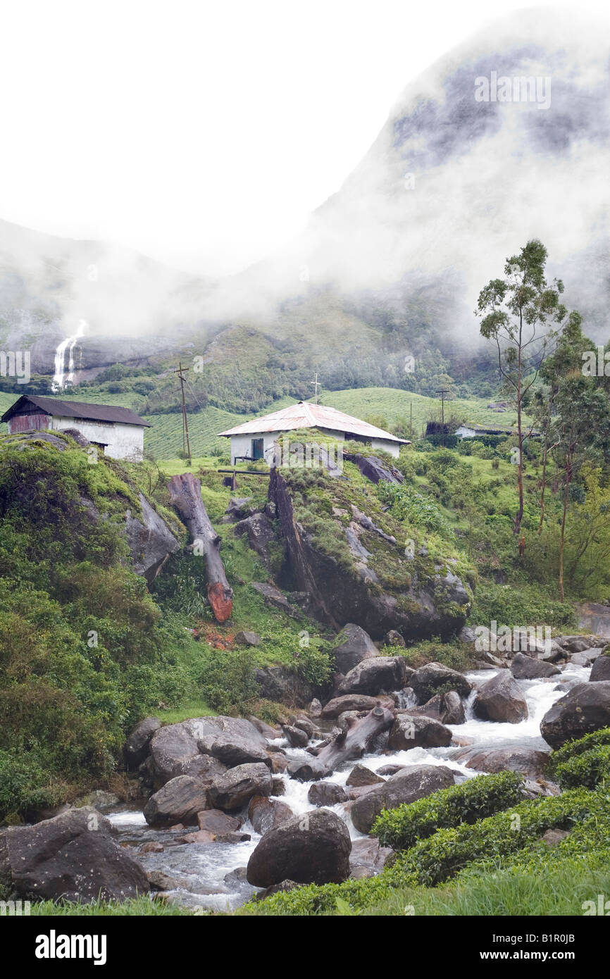 Mountain stream from misty hills after monsoon rains runs through lush teafields dotted with quaint cottages Munnar Kerala Stock Photo