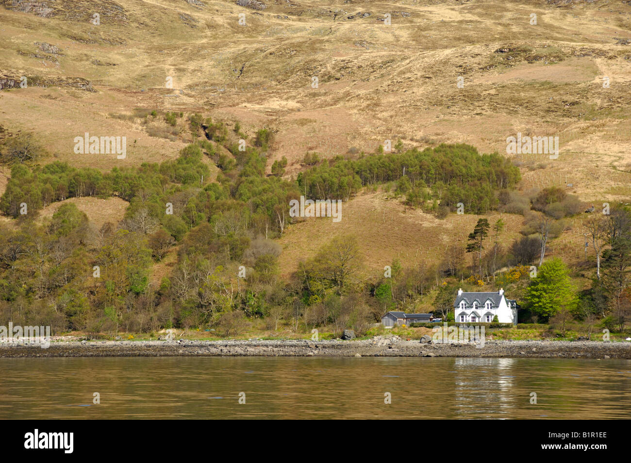House on the Knoydart Peninsula, Highlands, Scotland Stock Photo Alamy