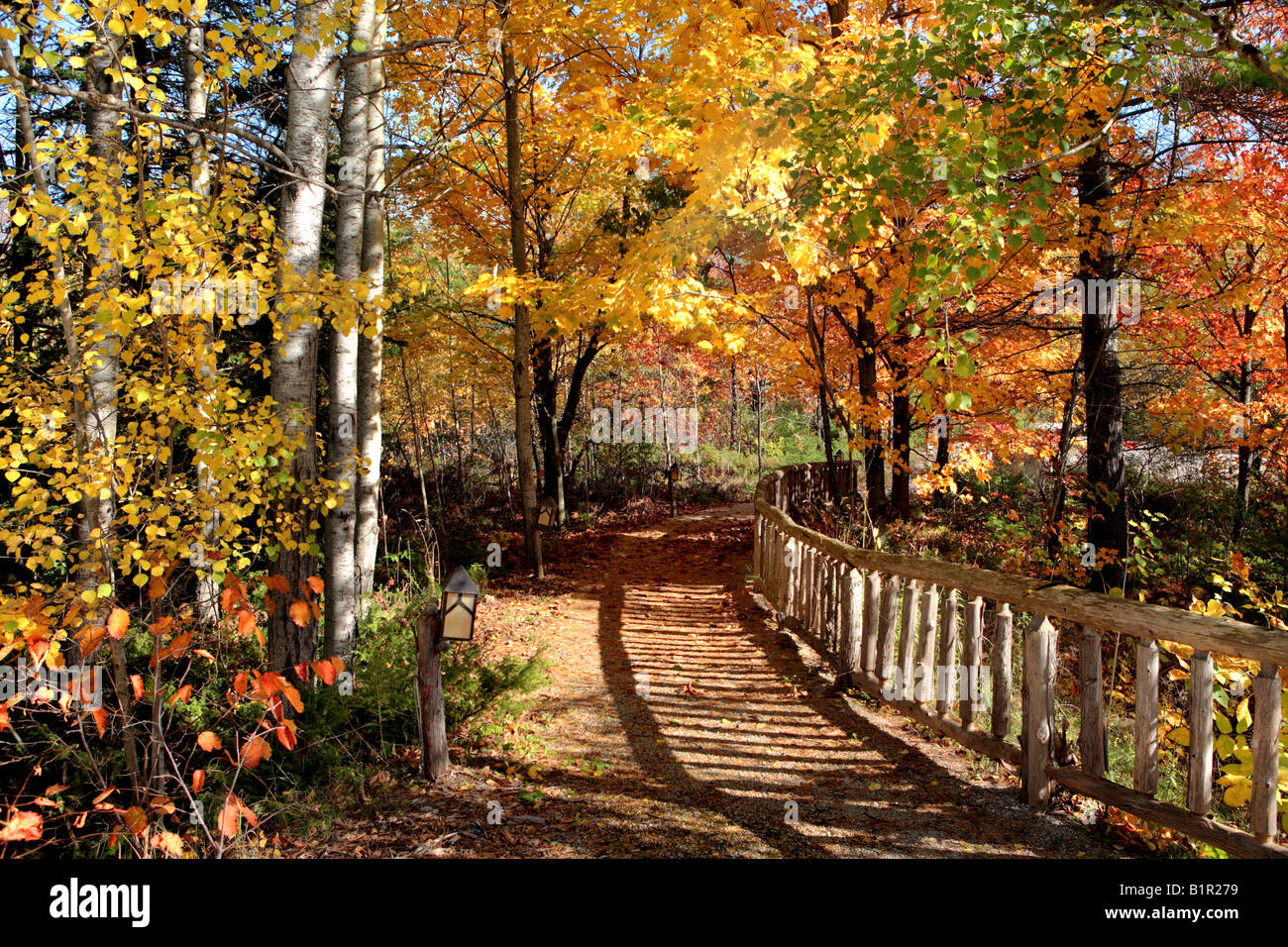 AUTUMN PATH IN THE CLEARING IN ELLISON BAY DOOR COUNTY WISCONSIN Stock Photo