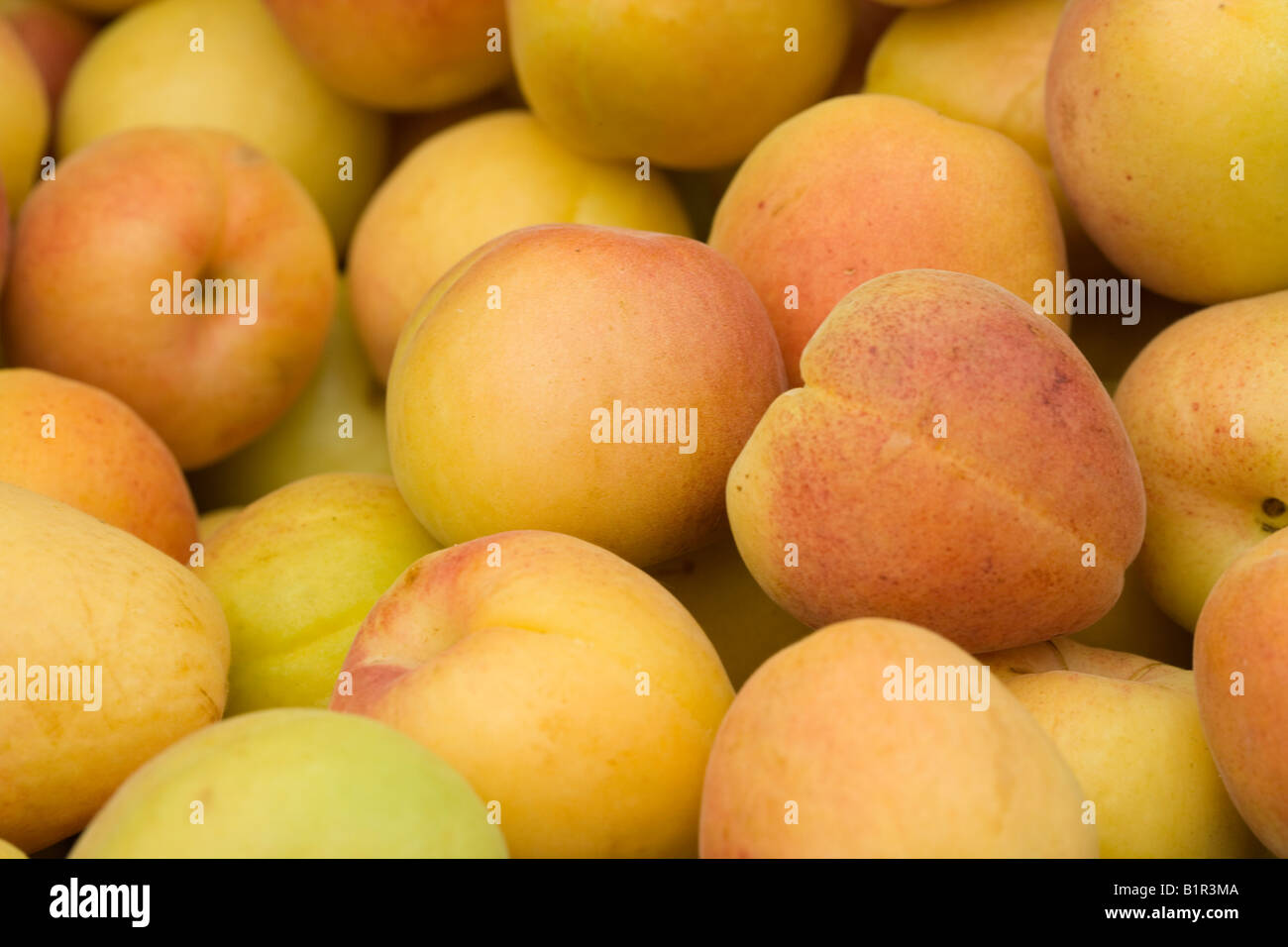 apricots Stock Photo