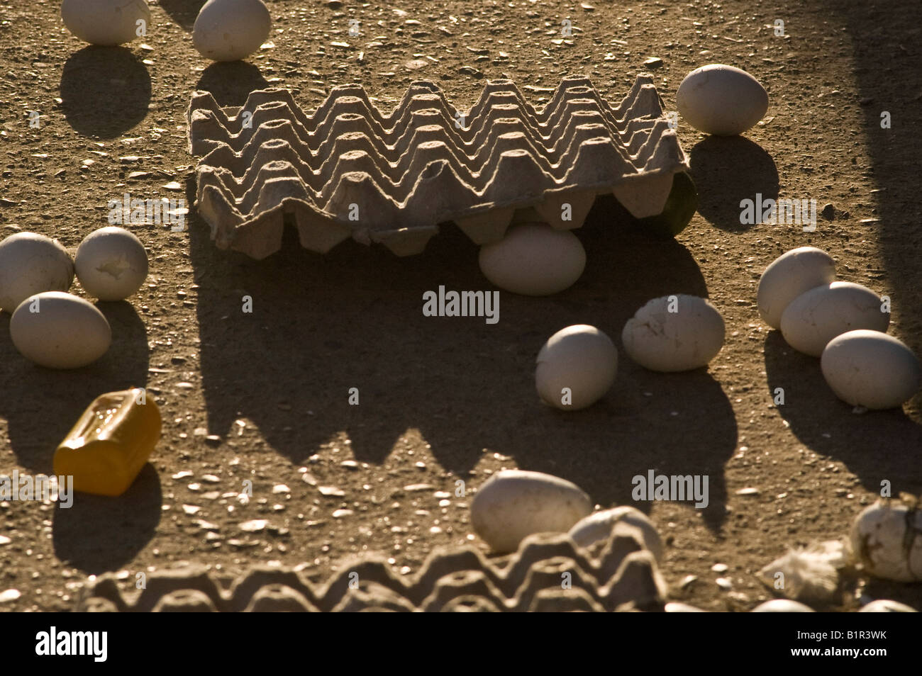 eggs crashed in the ground around the egg crate Stock Photo Alamy