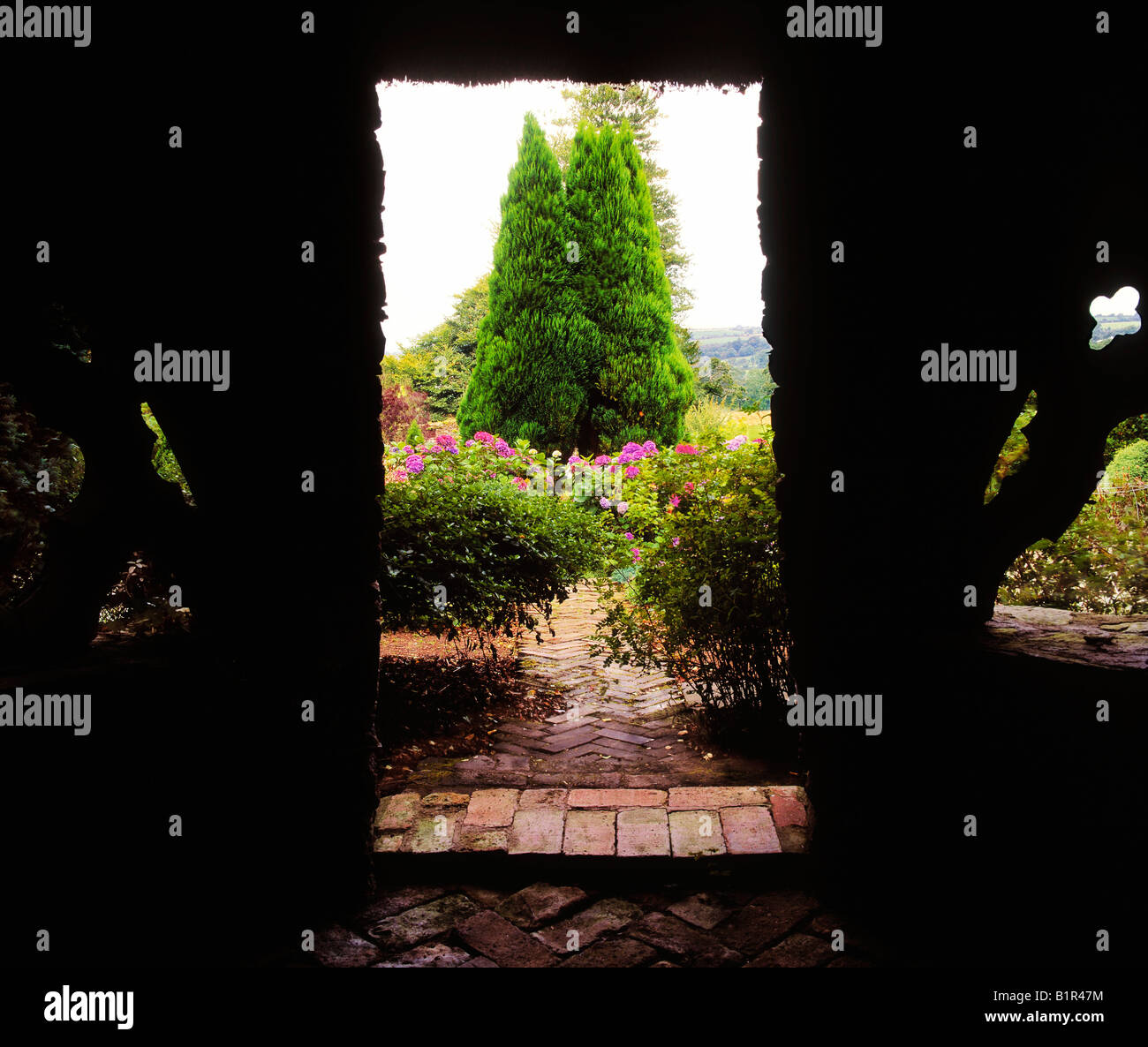 View from the Summerhouse Door, Berkey Forest, Co Wexford, Ireland Stock Photo