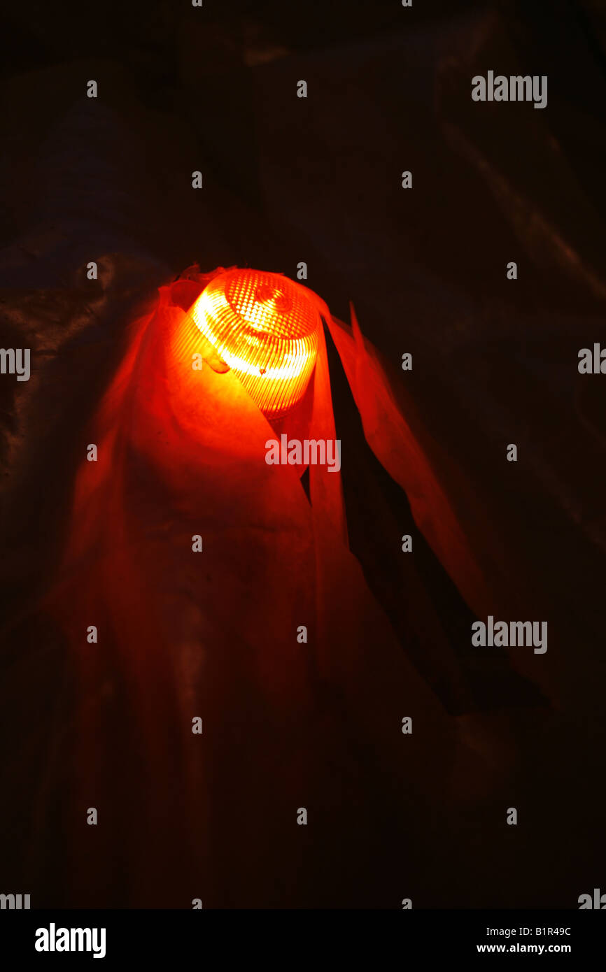 one red security light on scaffolding at night Stock Photo Alamy