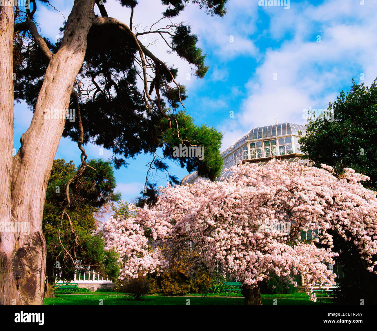 Dublin, Botanical Gardens Glasnevin, Palm House Exterior Stock Photo