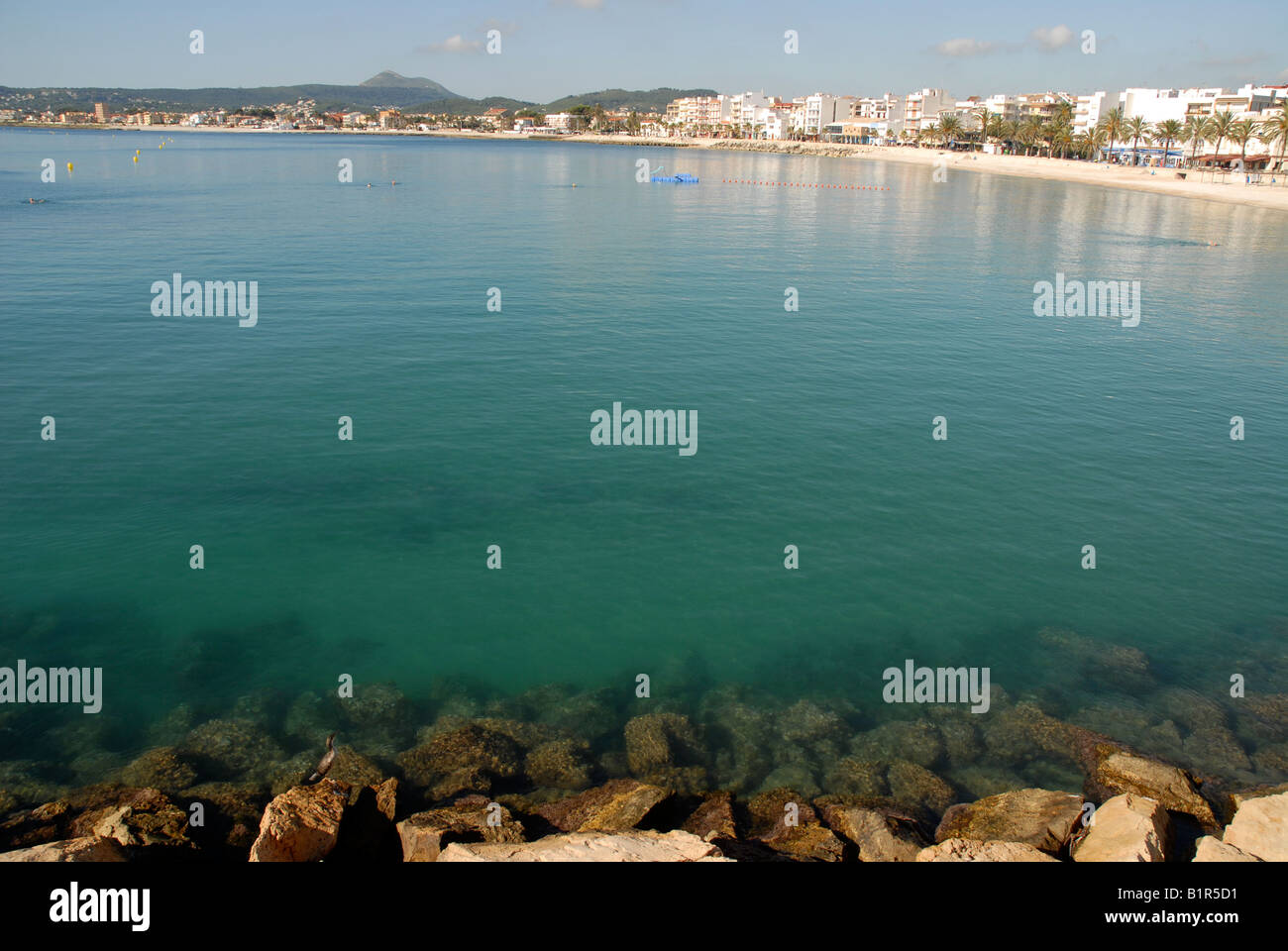 view with cormorant to La Grava beach in the port, Javea / Xabia,  Alicante Province, Comunidad Valenciana, Spain Stock Photo