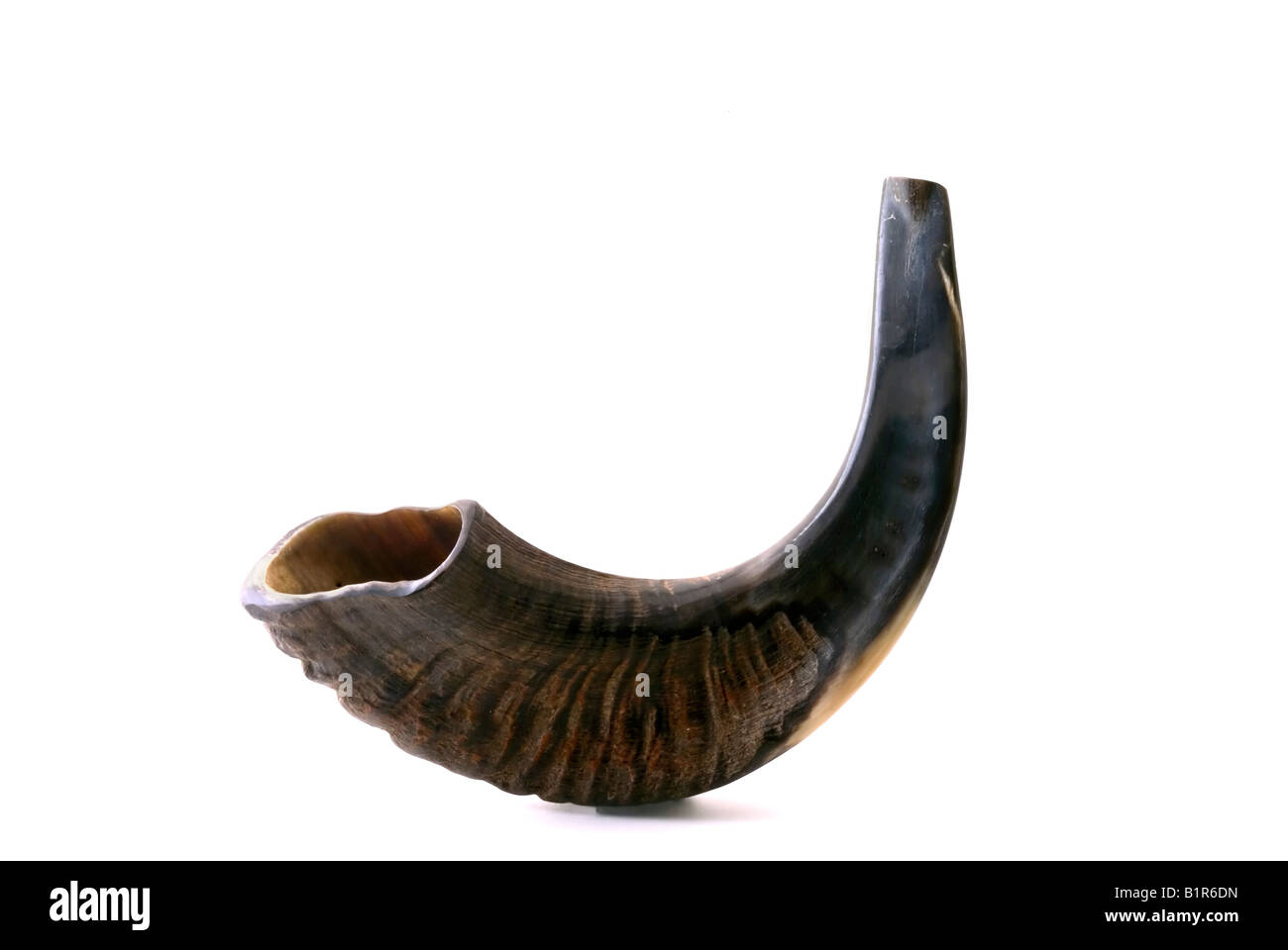 The Shofar Stock Photos & The Shofar Stock Images Alamy