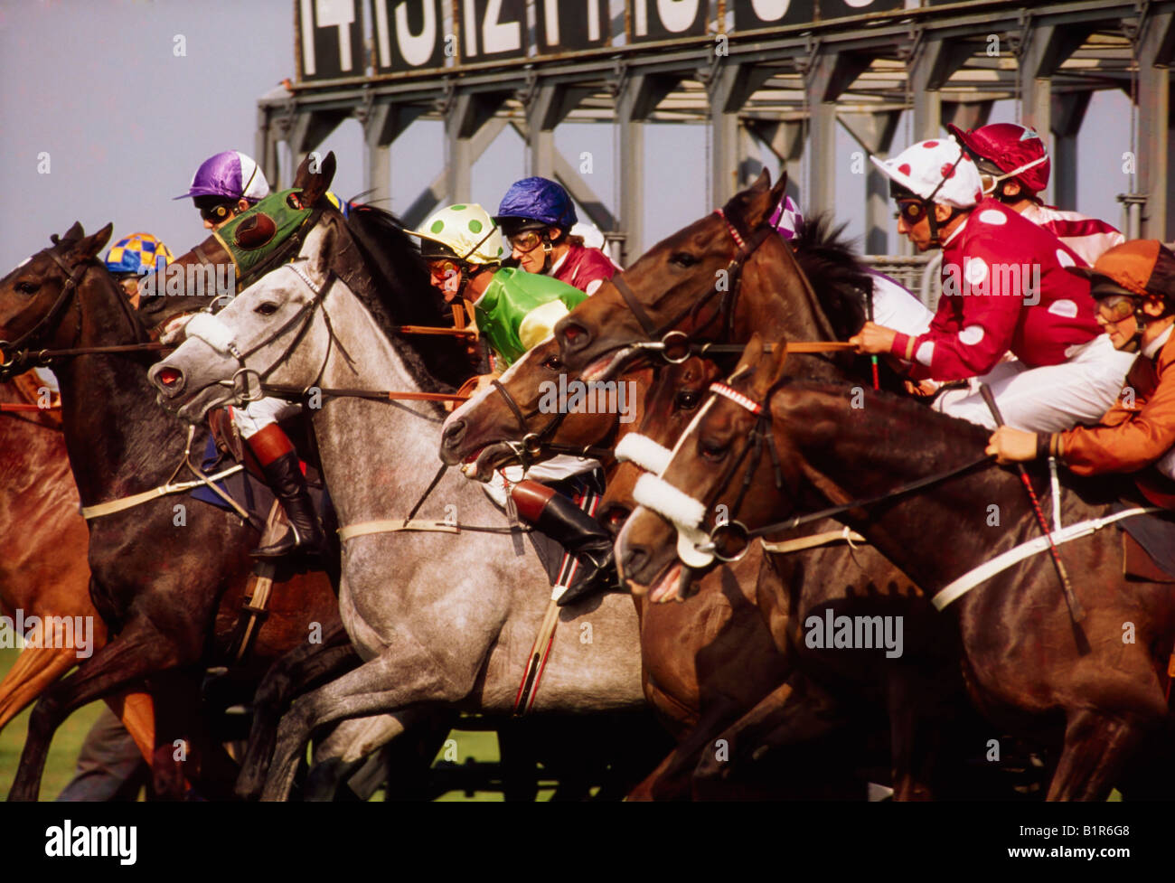 Horse Racing Ireland High Resolution Stock Photography and Images Alamy