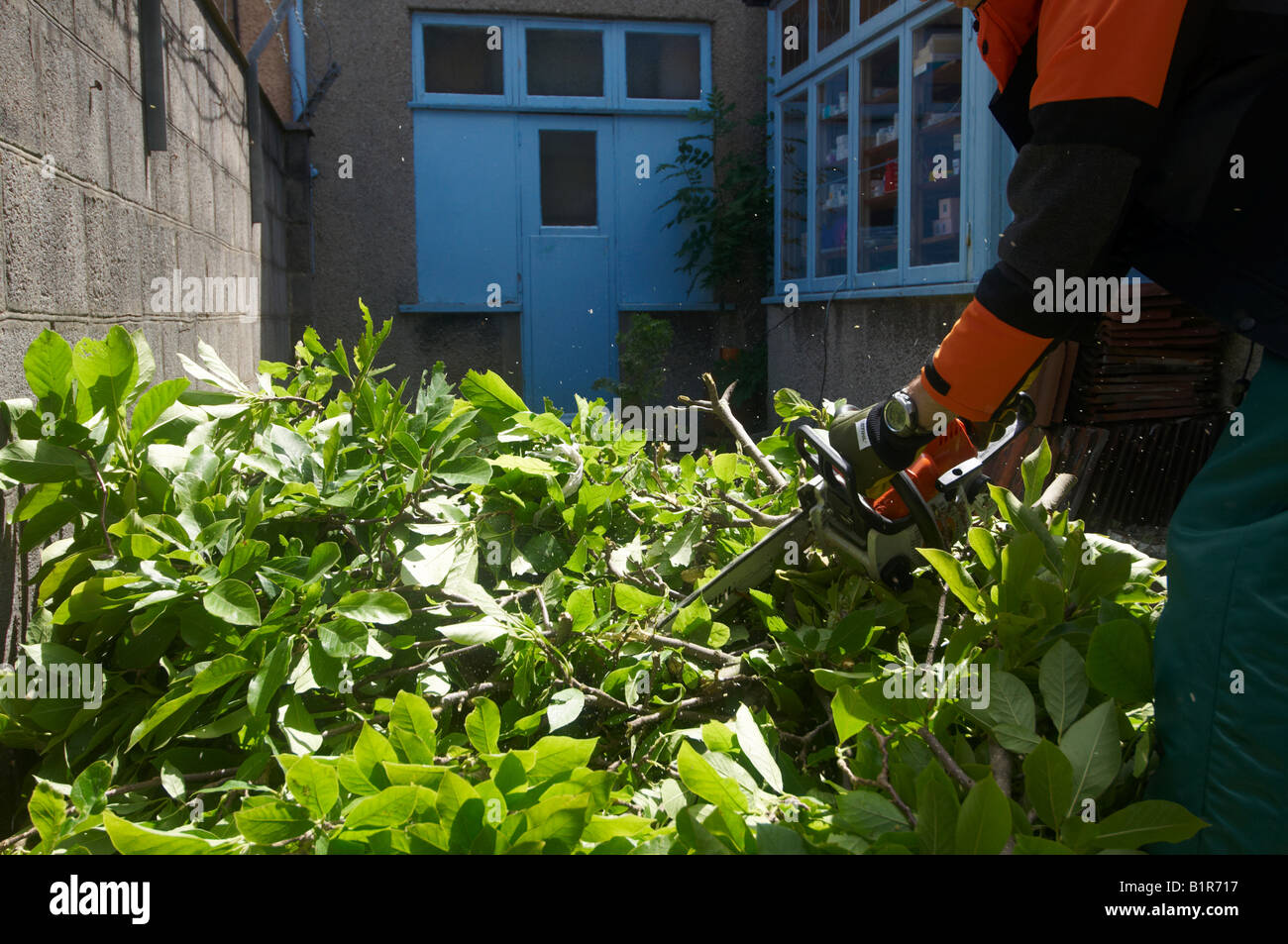 Man in full protective STIHL power tool clothing using his chainsaw MS