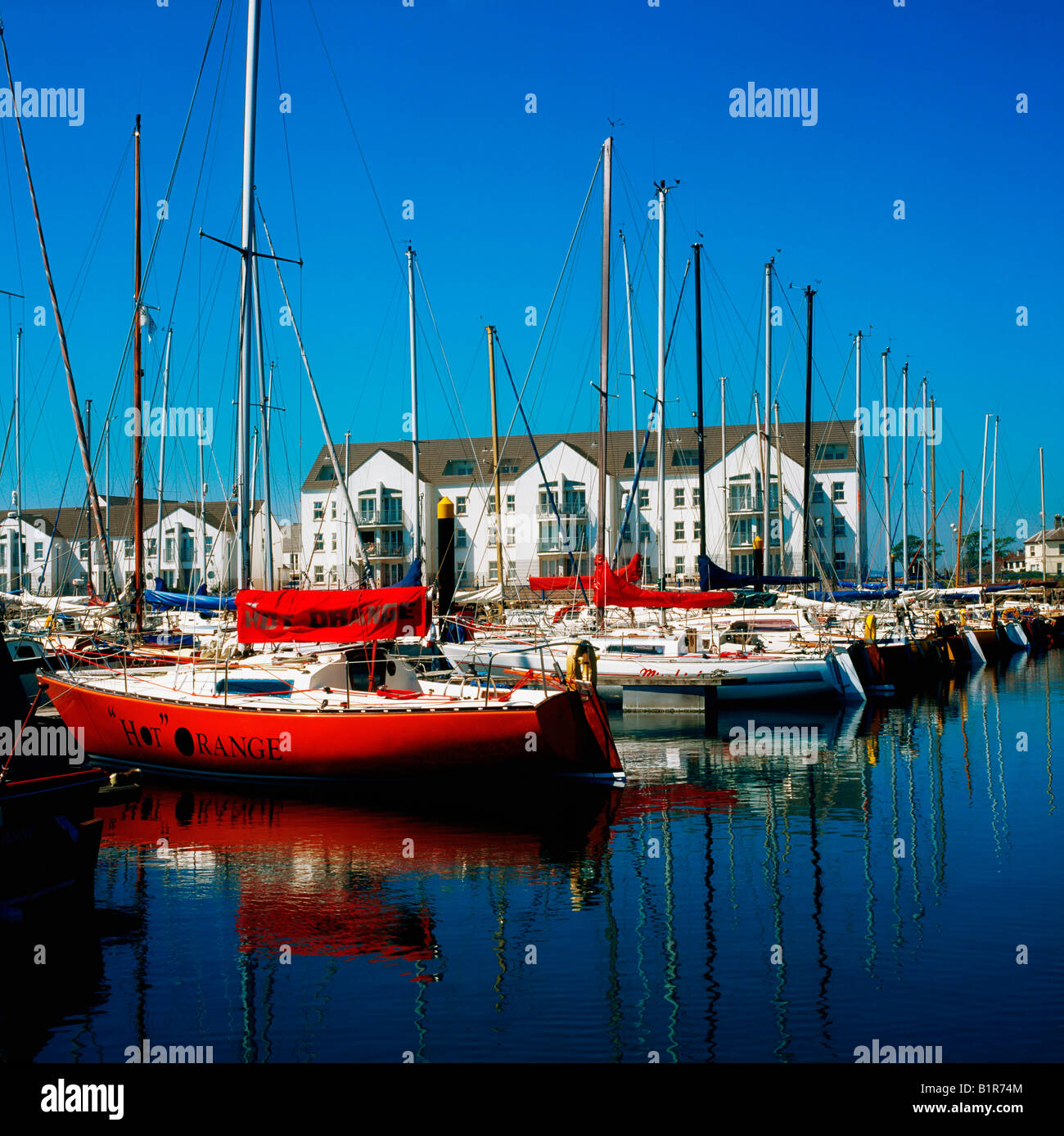 spankimg gay men from Hayden carrickfergus gay ireland northern