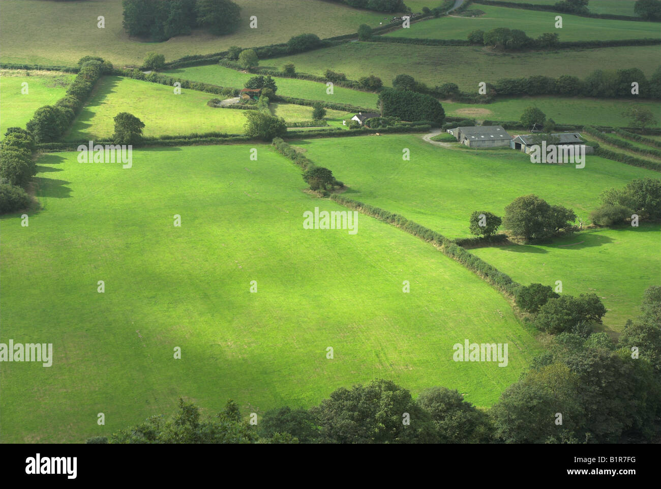 Lush green farmland fields, Great Torrington, Devon, UK Stock Photo