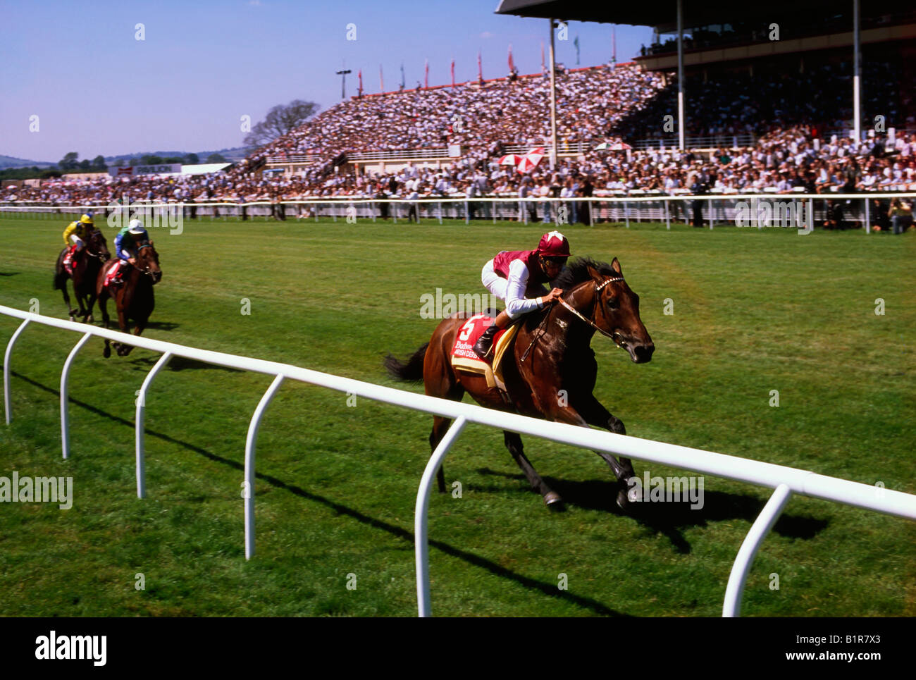 The Curragh, Co Kildare, Ireland, Horse Racing, Budweiser Derby, Winner, Sadlers Wells Stock Photo