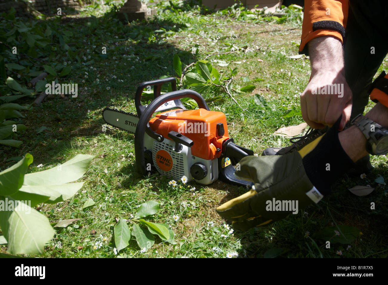 Man in full protective STIHL clothing putting chainsaw gloves on before operating his power tool Stock Photo