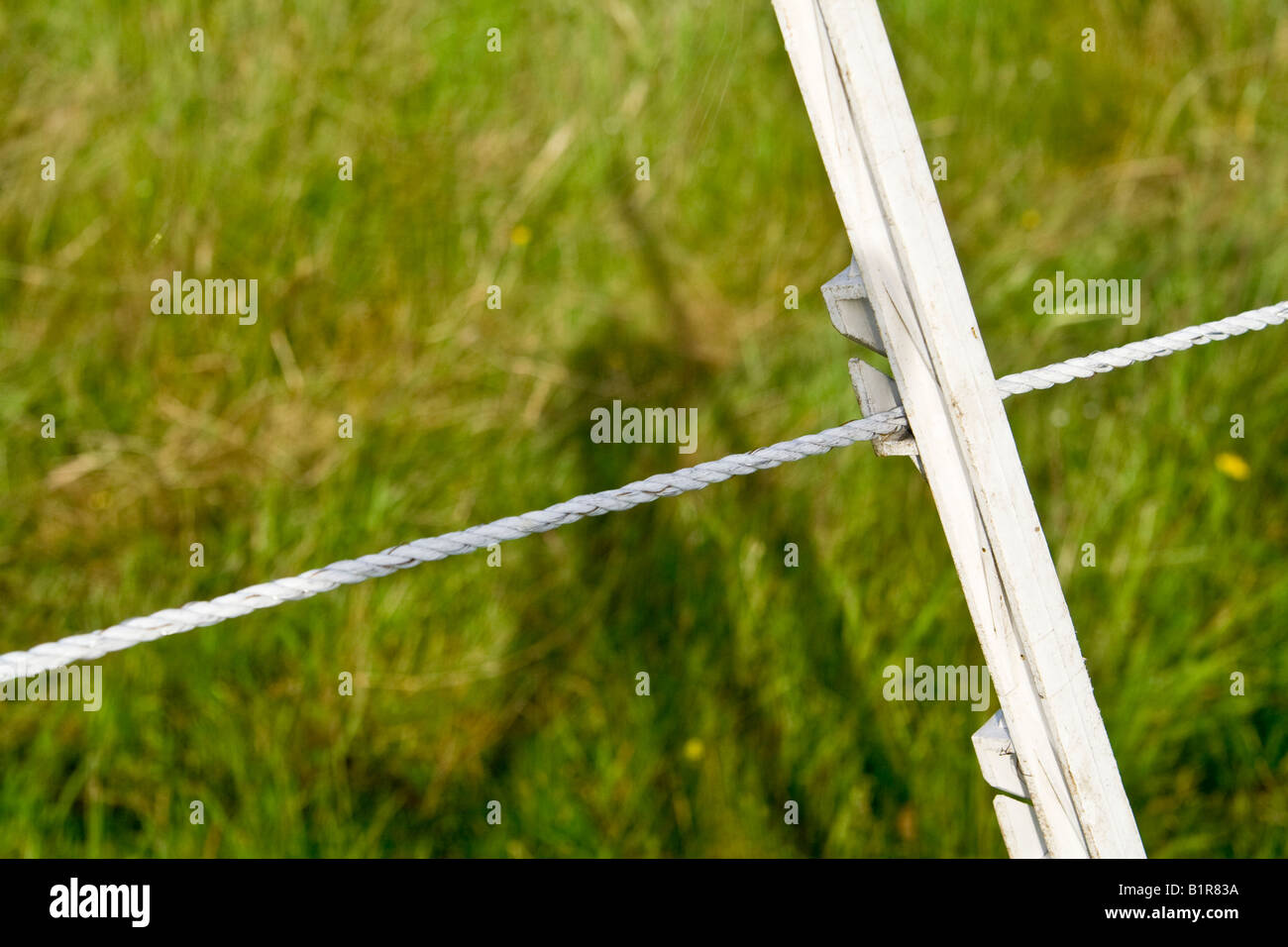 Close up electric fence wire cable post support field uk hires stock