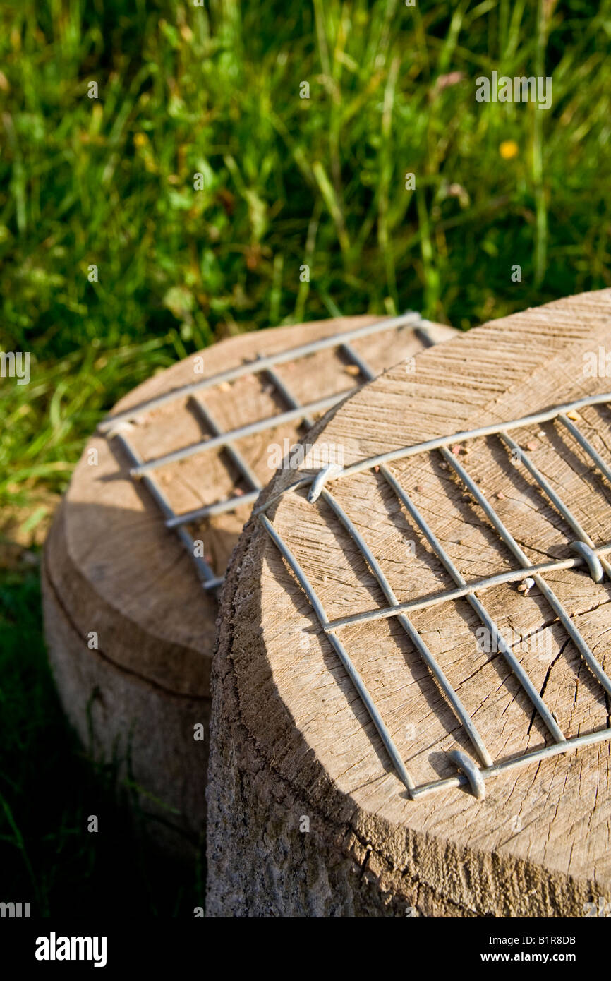 ^Wooden ^mounting blocks, UK Stock Photo Alamy