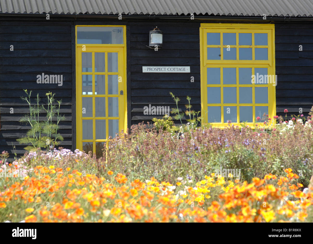 Uk Garden Sculptural Plants Stock Photos Uk Garden Sculptural