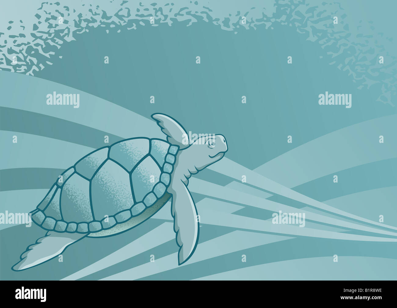 Sea turtle background for page layout or presentations Stock Photo - Alamy