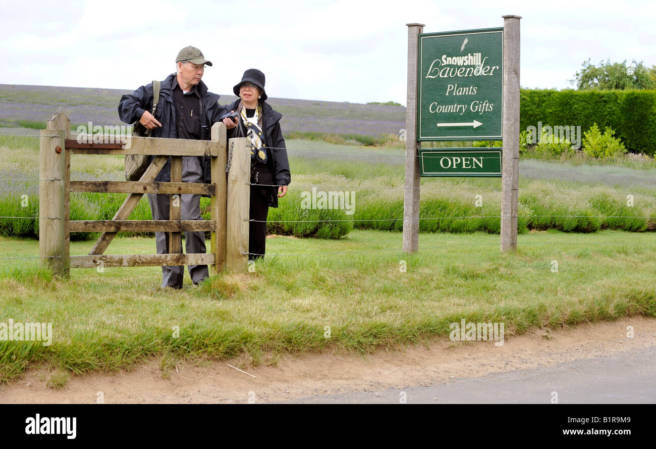 Snowshill Lavender Farm in the Cotswolds - visitors leaving the field near sign. Picture by Jim Holden. Stock Photo