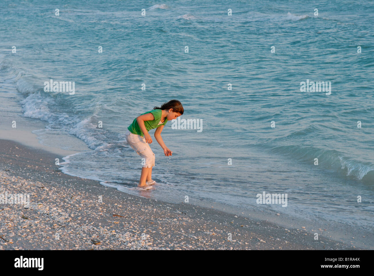 Young girl 9 10 years old collecting shells at water's edge Bowman's Beach Sanibel Island Florida at sunset Stock Photo