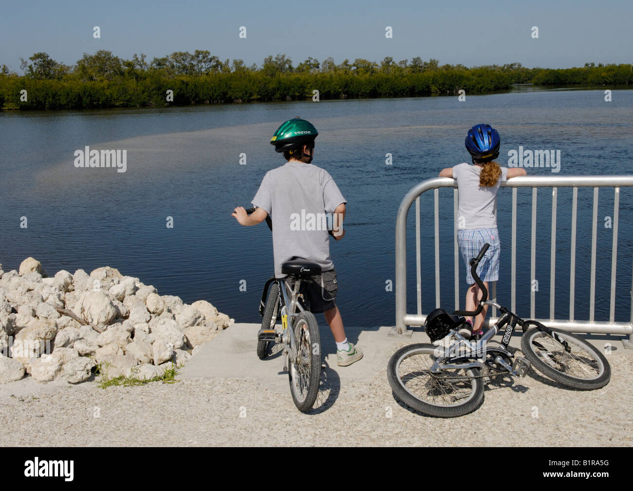 A boy and girl looking for wildlife on a biking trip through J N Ding Darling National Wldlife Refuge Sanibel Island Florida Stock Photo