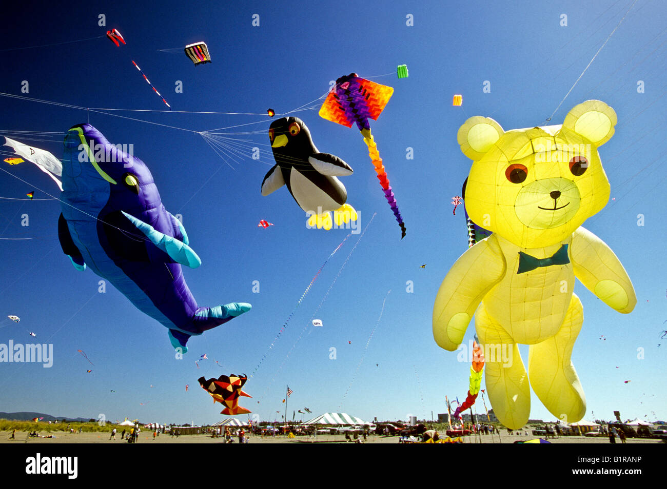 Animal shaped kites flying at the Long Beach International Kite
