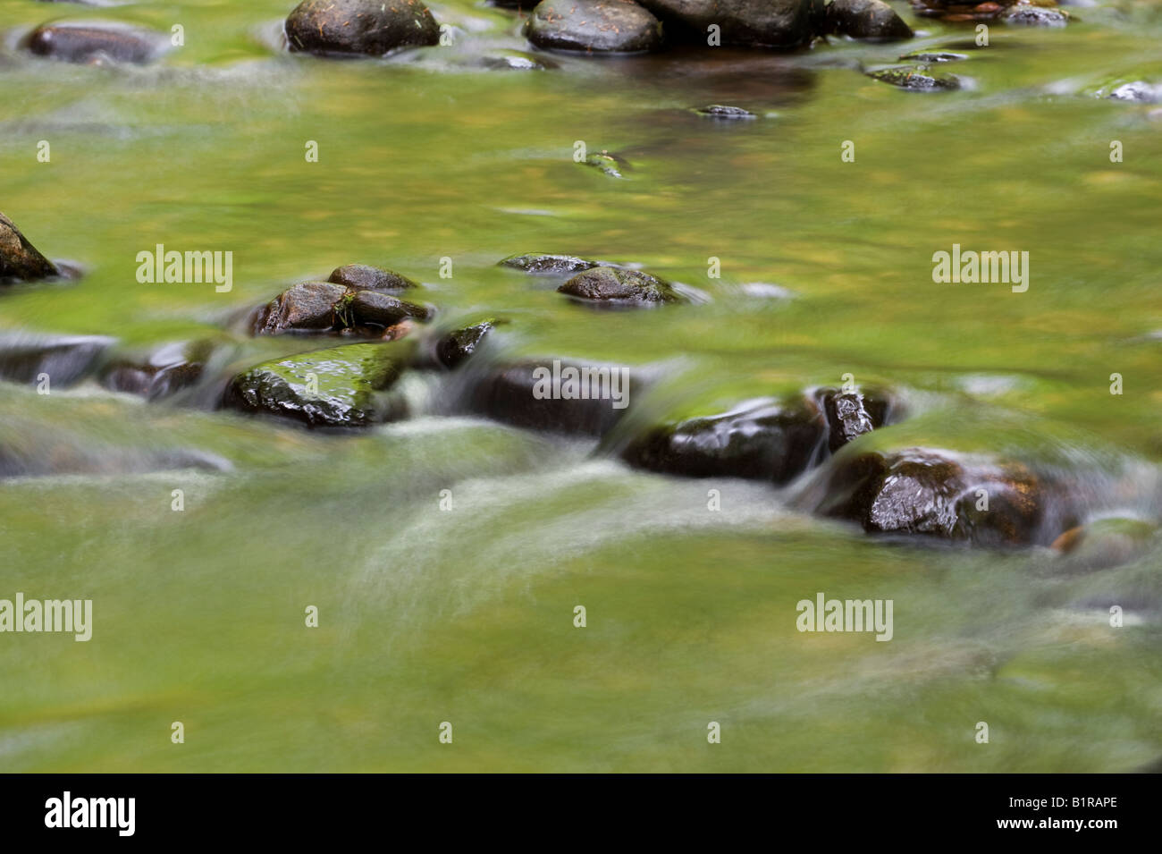 Long exposure of water flowing over stones in a Scottish river at Cawdor woods, Nairn, Scotland Stock Photo