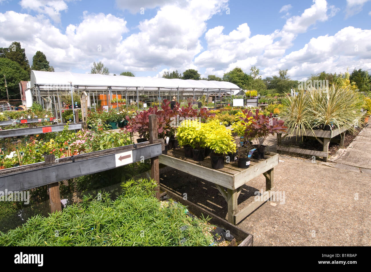 Garden Centre Hampshire UK Stock Photo