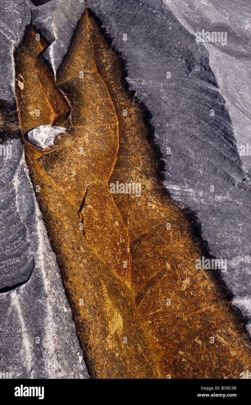 Abstract of orange algae in puddle of gray limestoneLittle Cover Bruce Peninsula Georgian Bay Ontario Stock Photo