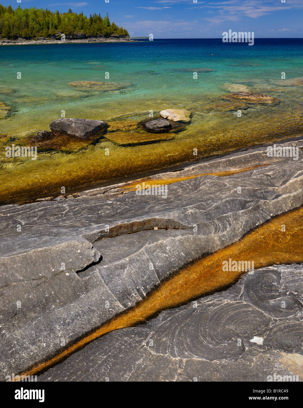 Orange algae in puddles on limestone shore of Little Cove Bruce Peninsula Georgian Bay Ontario Stock Photo