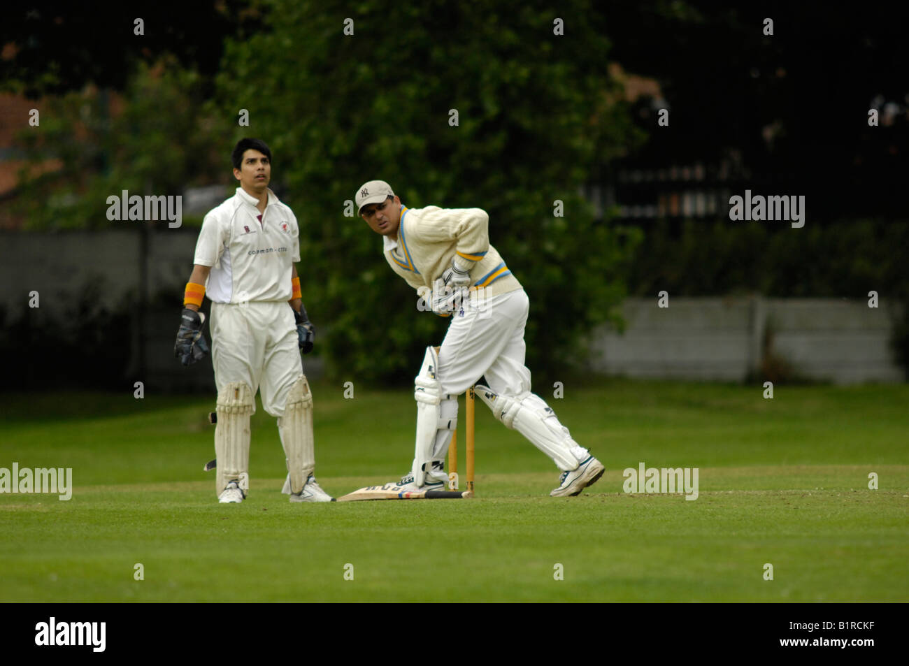 Cricket injury hires stock photography and images Alamy