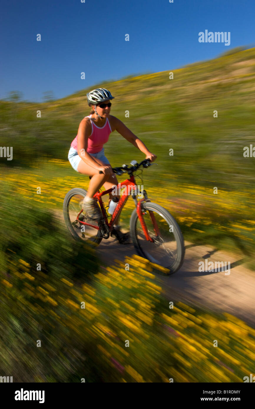 Mountain biking in McDowell Mountain Regional Park near Fountain Hills