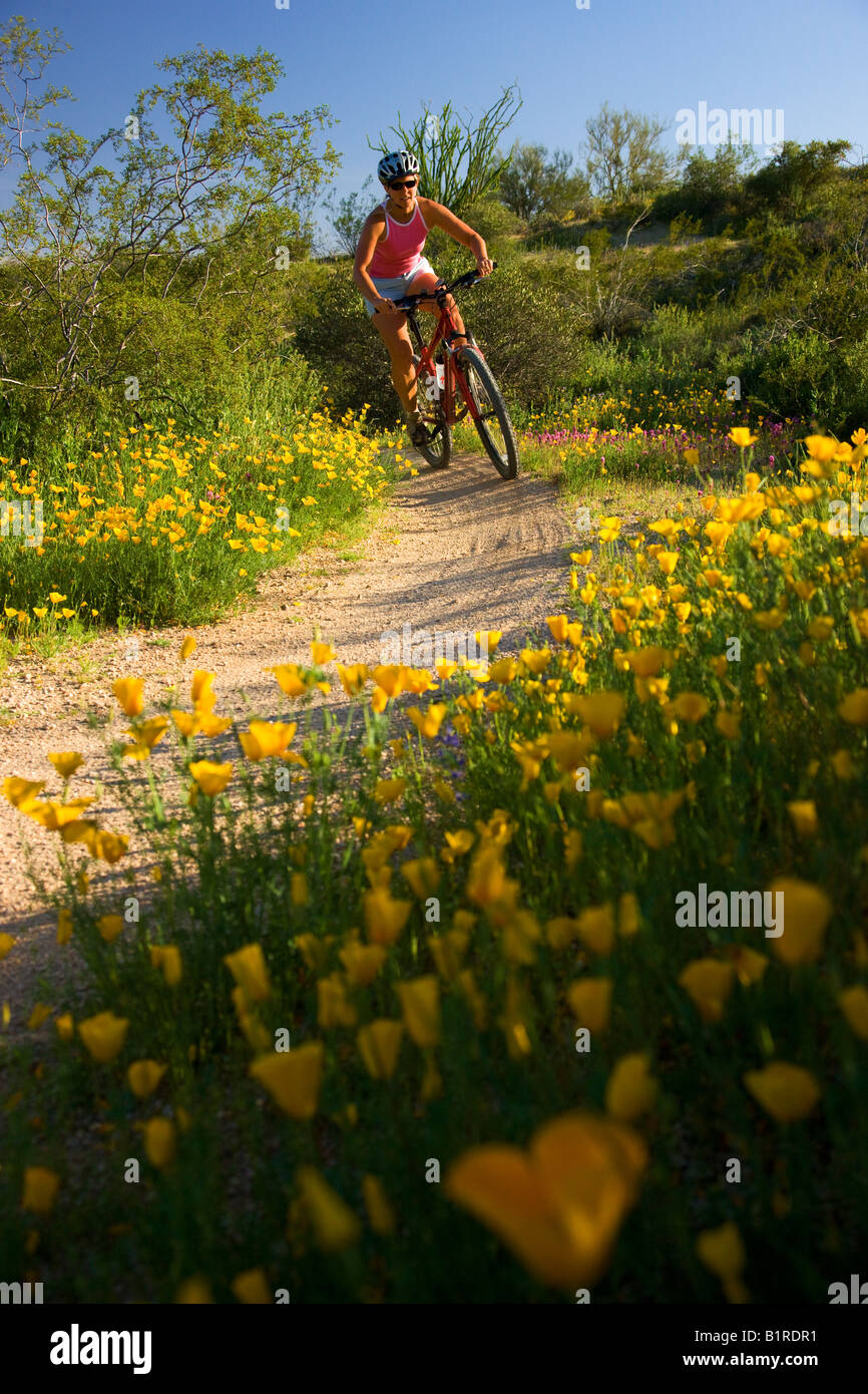 Mountain Bicycle Bicycles Bicycling Riding Biking Rider Riders Bike