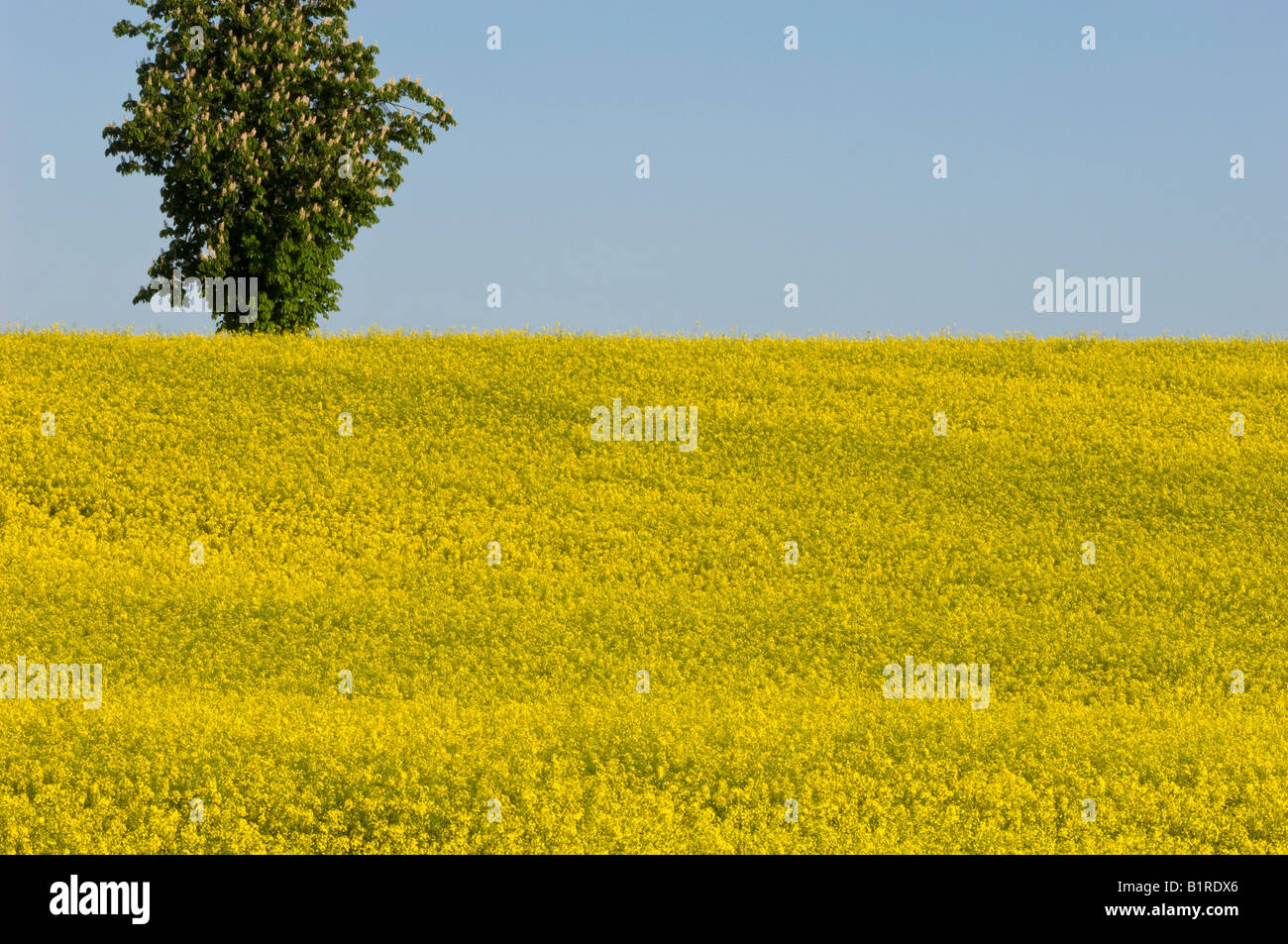 Rural landscape near Olsztyn Poland Stock Photo