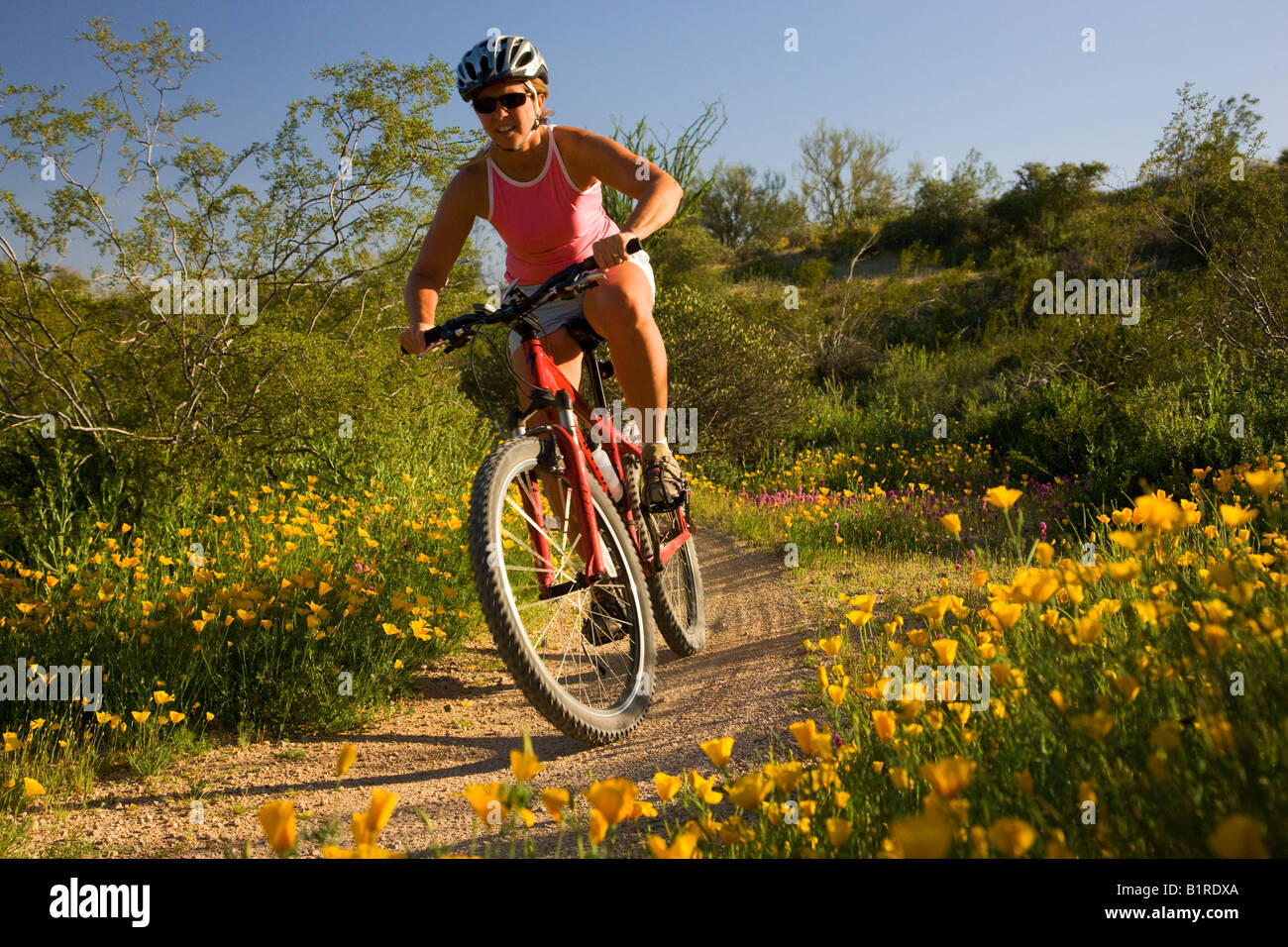 Mountain biking in McDowell Mountain Regional Park near Fountain Hills