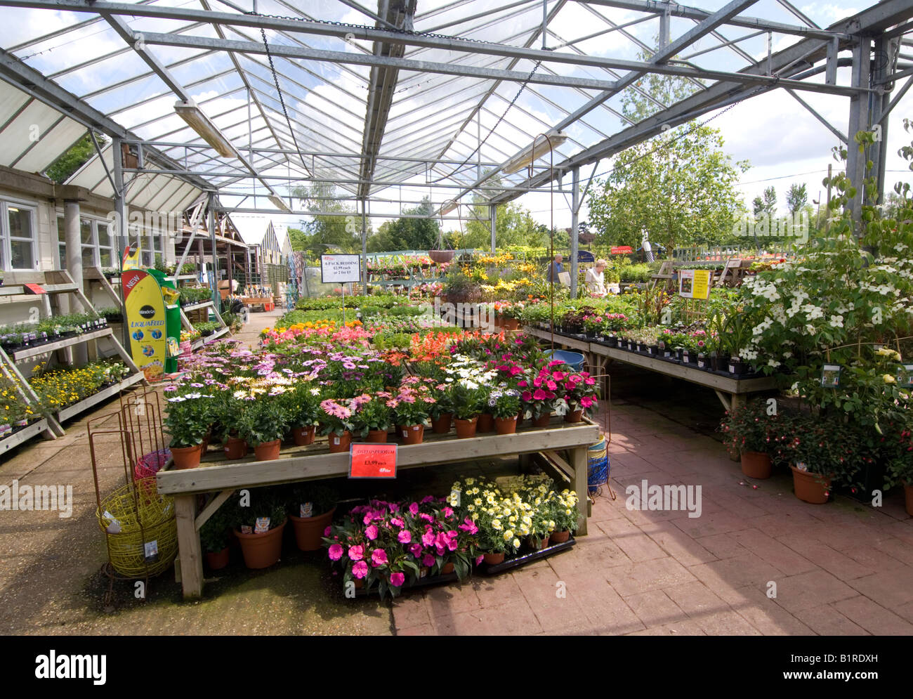 Garden Centre Hampshire UK Stock Photo