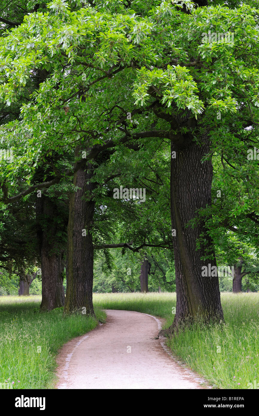 Stuttgart hiking trails hi-res stock photography and images - Alamy