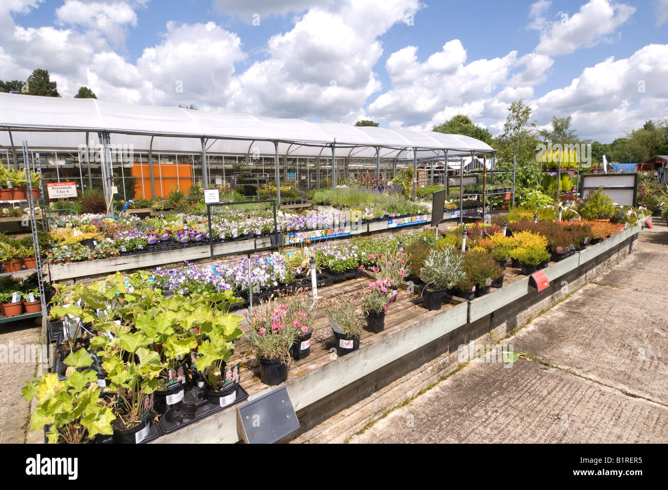 Garden Centre Hampshire UK Stock Photo