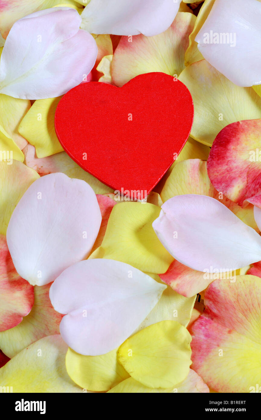 Red heart surrounded by rose petals Stock Photo