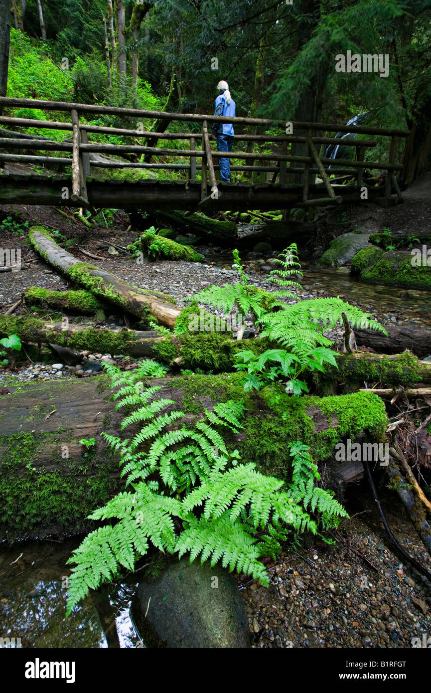 Hiker in rain forest Stock Photo - Alamy
