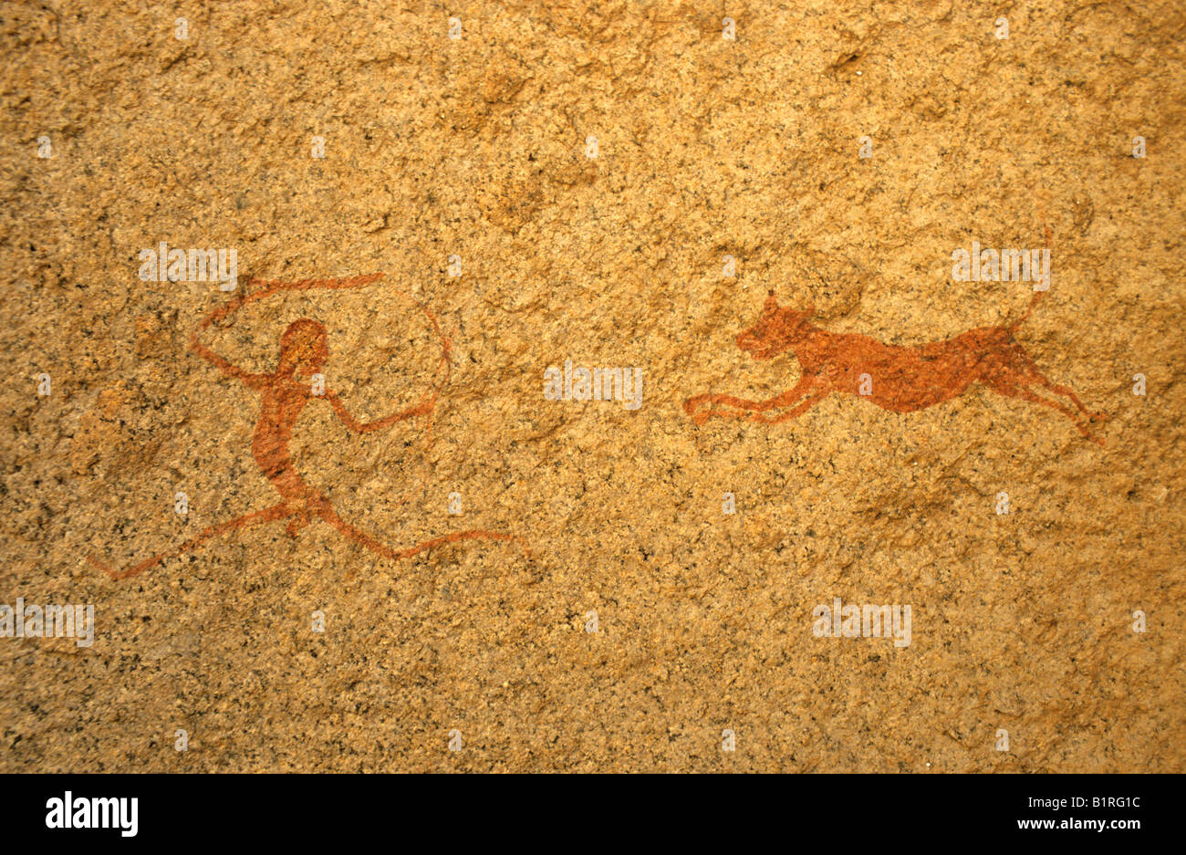 Pictograph, rock painting of a hunter becoming the hunted, Brandberg, Namibia, Africa Stock Photo