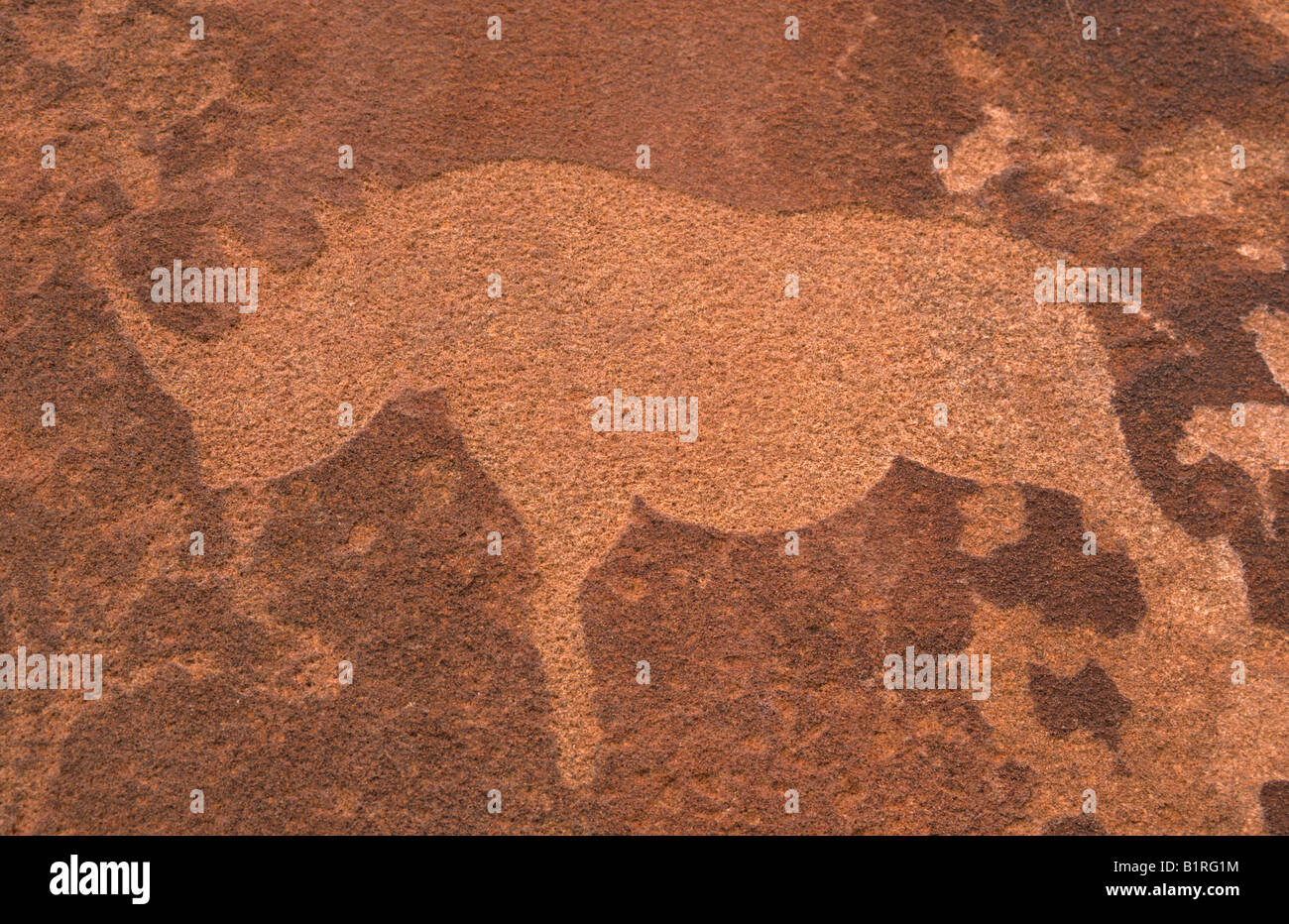 Rhinoceros rock carving, petroglyph, Twyfelfontein, Damaraland, Namibia, Africa Stock Photo
