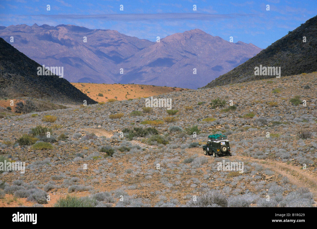 Land Rover in stony desert landscape, Brandberg Mountain backdrop, near Uis, Namibia, Africa Stock Photo