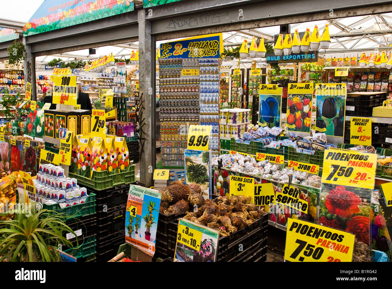 Tulip bulbs, Floating Flower Market, Singelgracht, Amsterdam