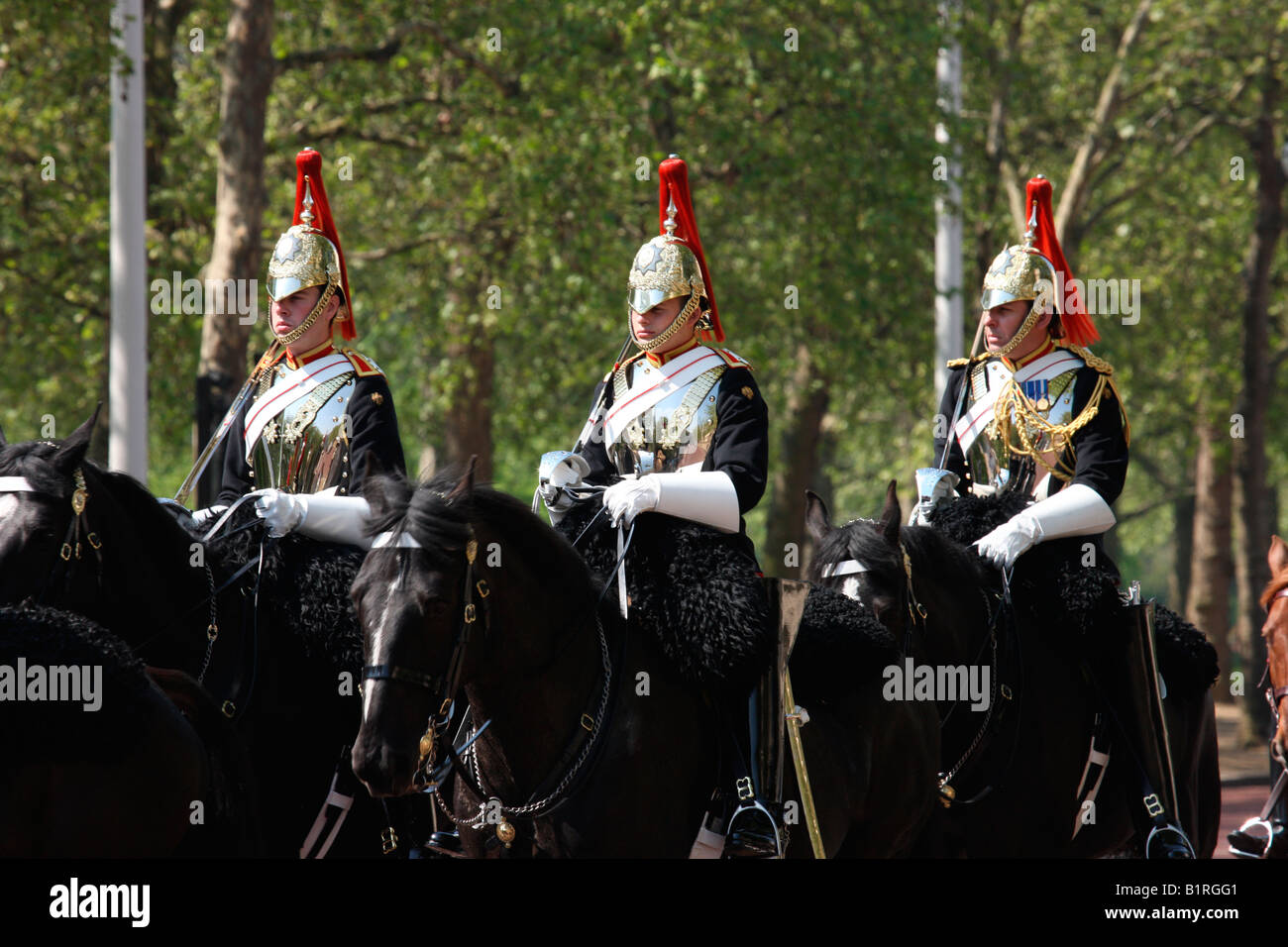 Royal cavalry hires stock photography and images Alamy