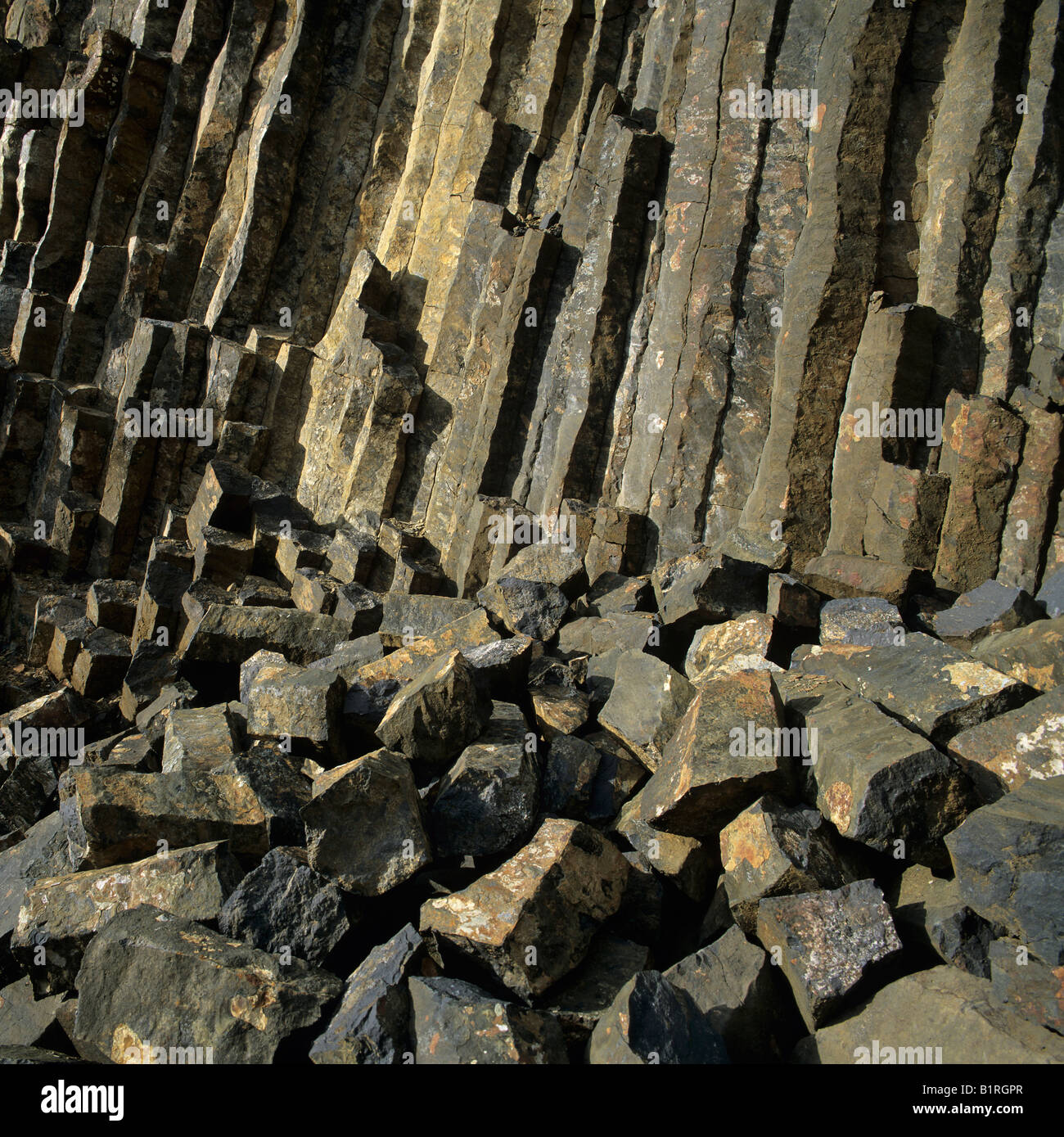 Basalt field, basalt columns at back Stock Photo Alamy