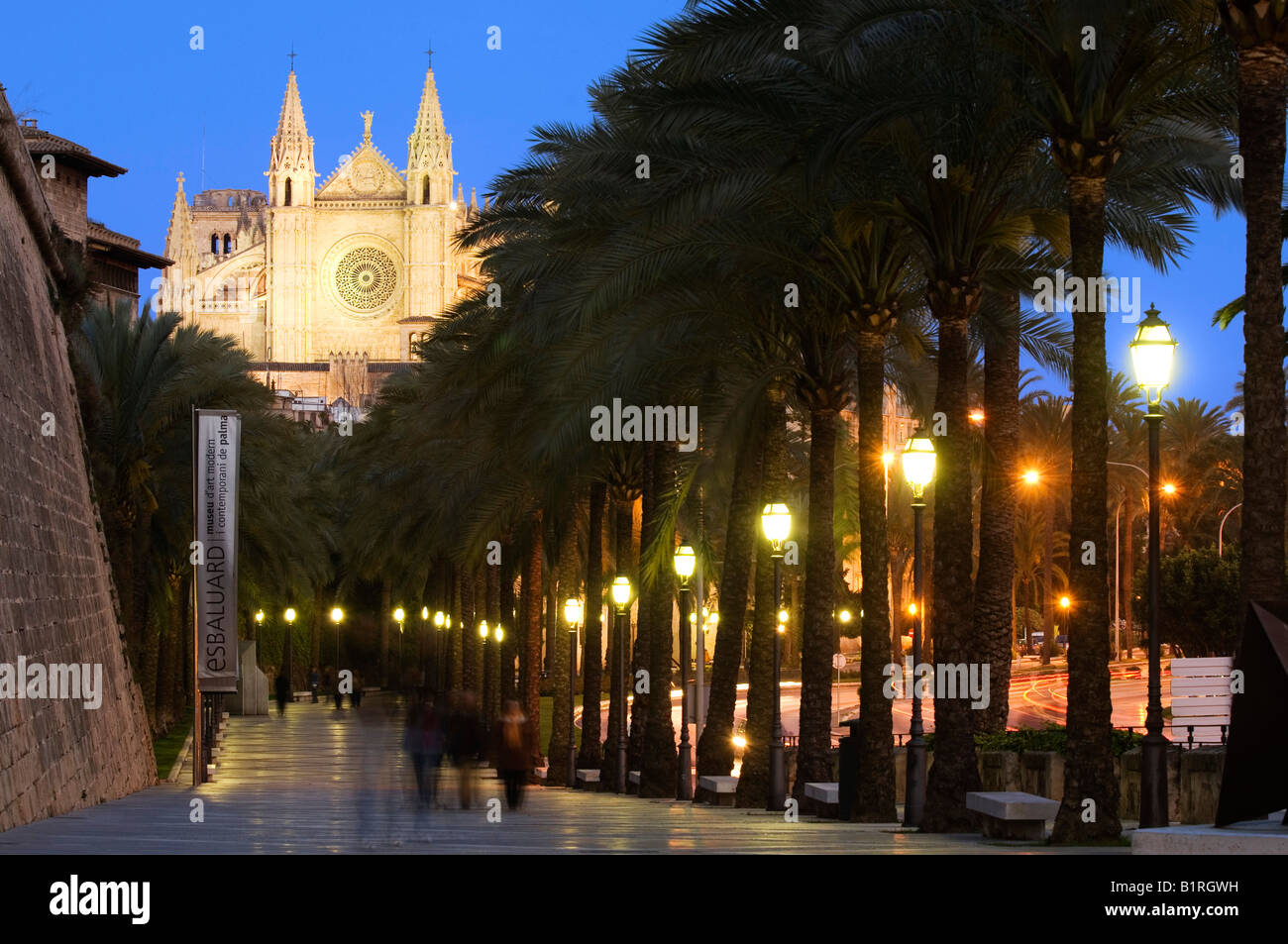 La Seu Cathedral on Passeig de Sagrea, in the evening, Palma de Majorca, Balearic Islands, Spain, Europe Stock Photo