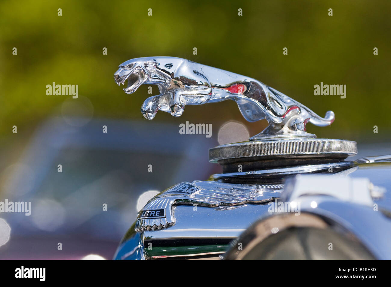 Jaguar, hood ornament, Oldtimer Ralley Wiesbaden 2008, Hesse, Germany